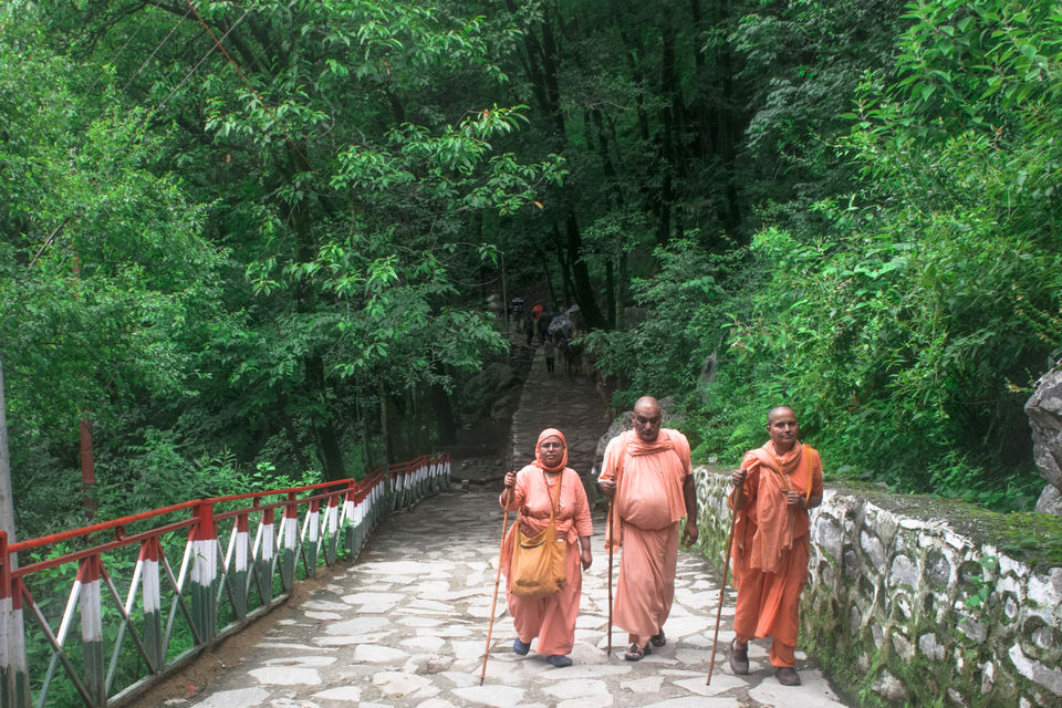 Photo of Valley of Flowers and Hemkund Saheb Trek With INDIAHIKES 9/78 by Vaswati