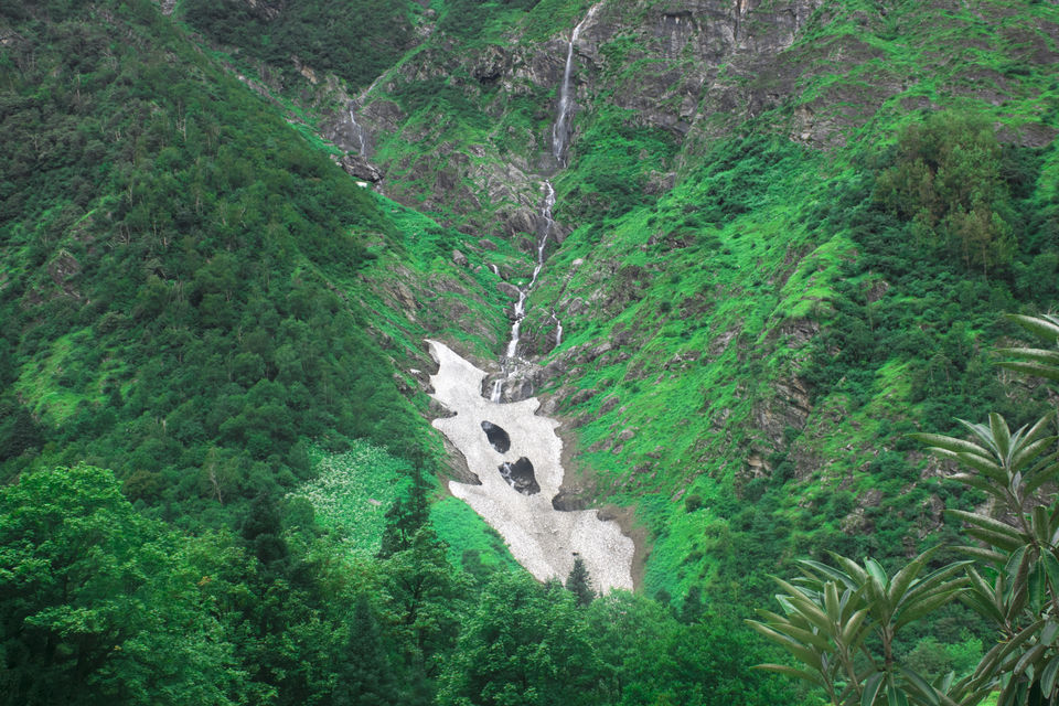 Photo of Valley of Flowers and Hemkund Saheb Trek With INDIAHIKES 21/78 by Vaswati