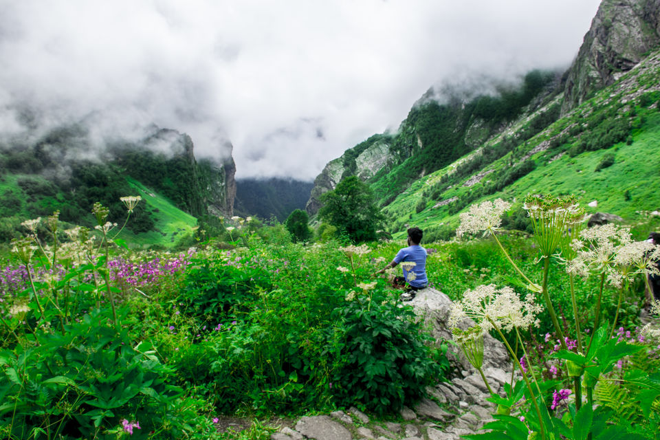 Photo of Valley of Flowers and Hemkund Saheb Trek With INDIAHIKES 49/78 by Vaswati