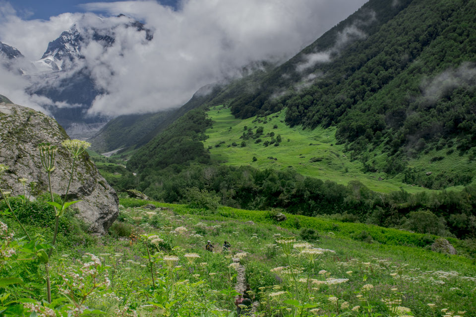 Photo of Valley of Flowers and Hemkund Saheb Trek With INDIAHIKES 50/78 by Vaswati