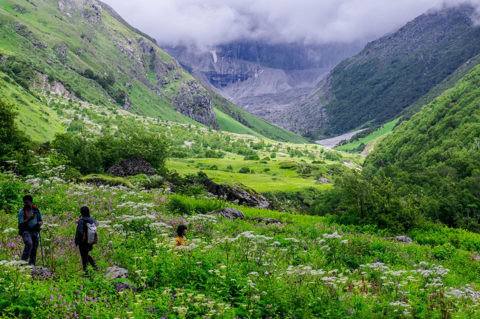 Photo of Valley of Flowers and Hemkund Saheb Trek With INDIAHIKES 52/78 by Vaswati
