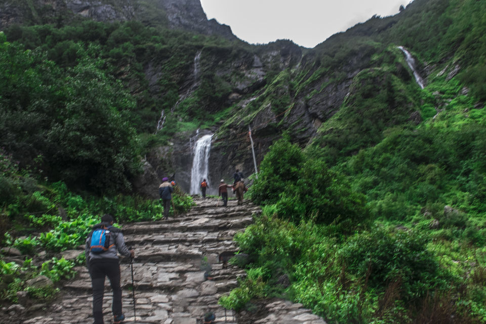 Photo of Valley of Flowers and Hemkund Saheb Trek With INDIAHIKES 60/78 by Vaswati