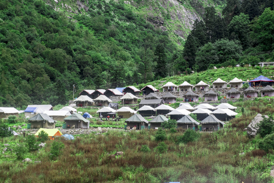 Photo of Valley of Flowers and Hemkund Saheb Trek With INDIAHIKES 76/78 by Vaswati