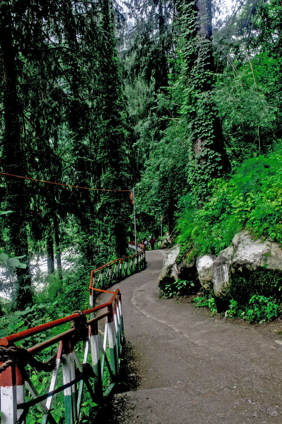 Photo of Valley of Flowers and Hemkund Saheb Trek With INDIAHIKES 12/78 by Vaswati