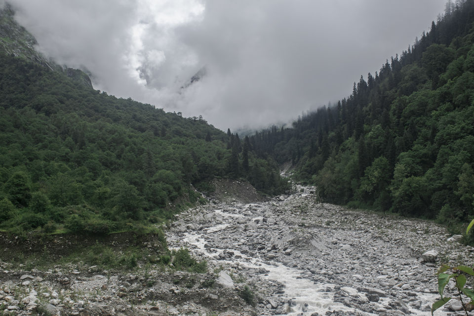 Photo of Valley of Flowers and Hemkund Saheb Trek With INDIAHIKES 15/78 by Vaswati