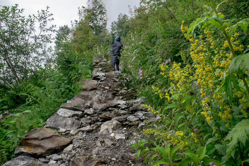 Photo of Valley of Flowers and Hemkund Saheb Trek With INDIAHIKES 58/78 by Vaswati