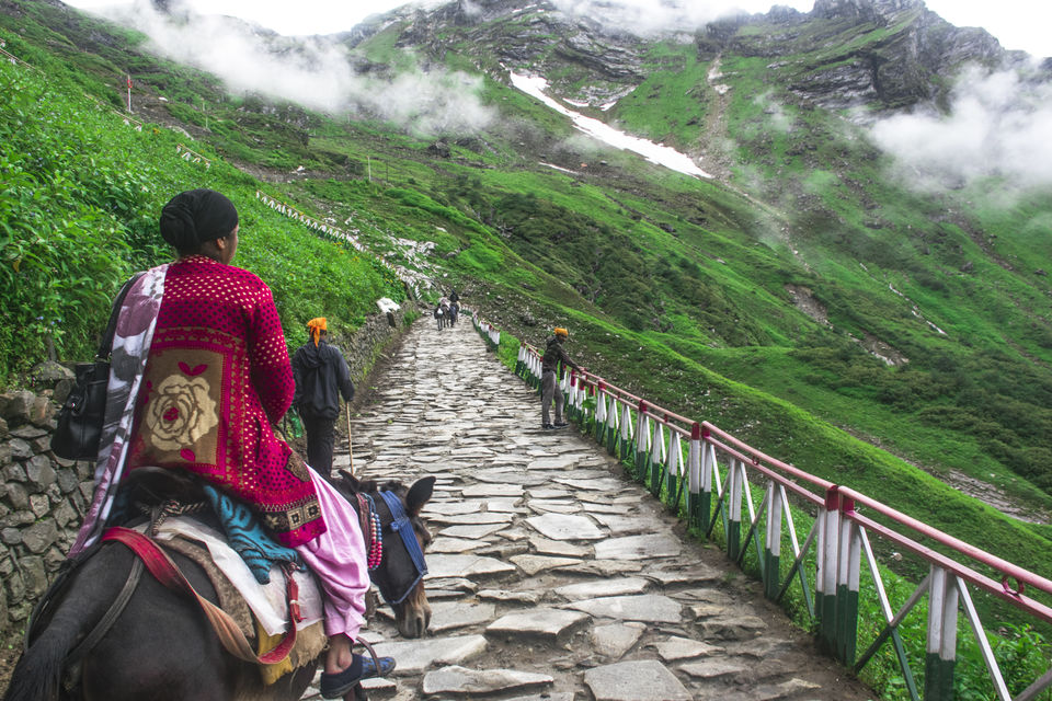 Photo of Valley of Flowers and Hemkund Saheb Trek With INDIAHIKES 66/78 by Vaswati