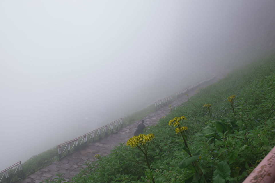 Photo of Valley of Flowers and Hemkund Saheb Trek With INDIAHIKES 74/78 by Vaswati