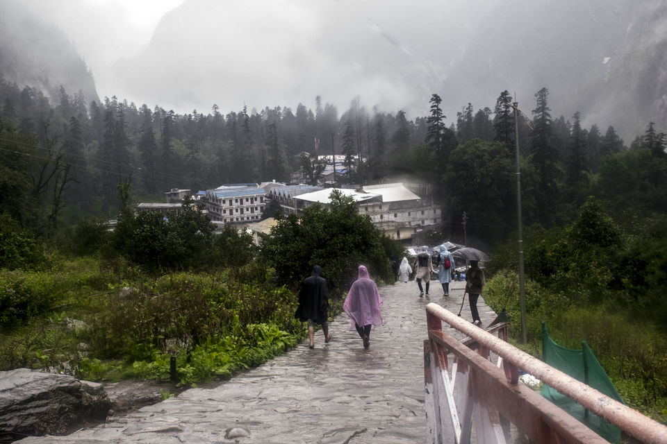 Photo of Valley of Flowers and Hemkund Saheb Trek With INDIAHIKES 75/78 by Vaswati