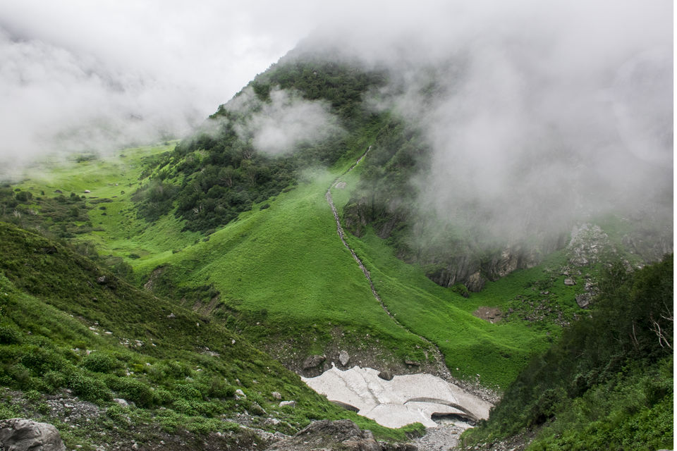 Photo of Valley of Flowers and Hemkund Saheb Trek With INDIAHIKES 57/78 by Vaswati