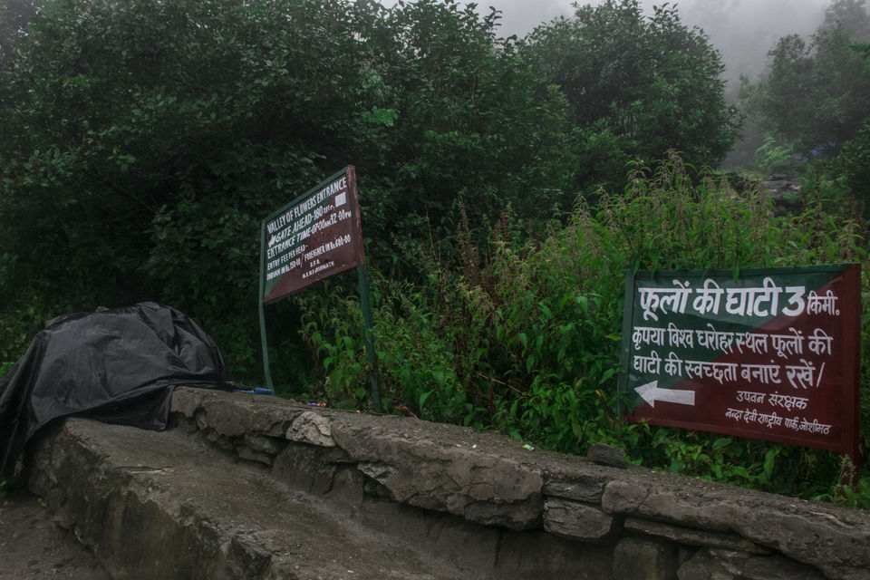 Photo of Valley of Flowers and Hemkund Saheb Trek With INDIAHIKES 25/78 by Vaswati