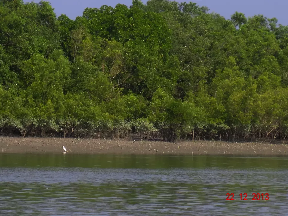 Photo of Sundarban Trip: World's Largest Mangrove Forest Must be Your Next Weekend Getaway by Vaswati