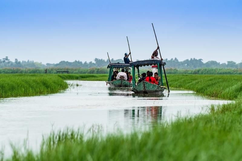 Photo of Mangalajodi Wetlands, Tangi, Tangi, Odisha, India by Vaswati