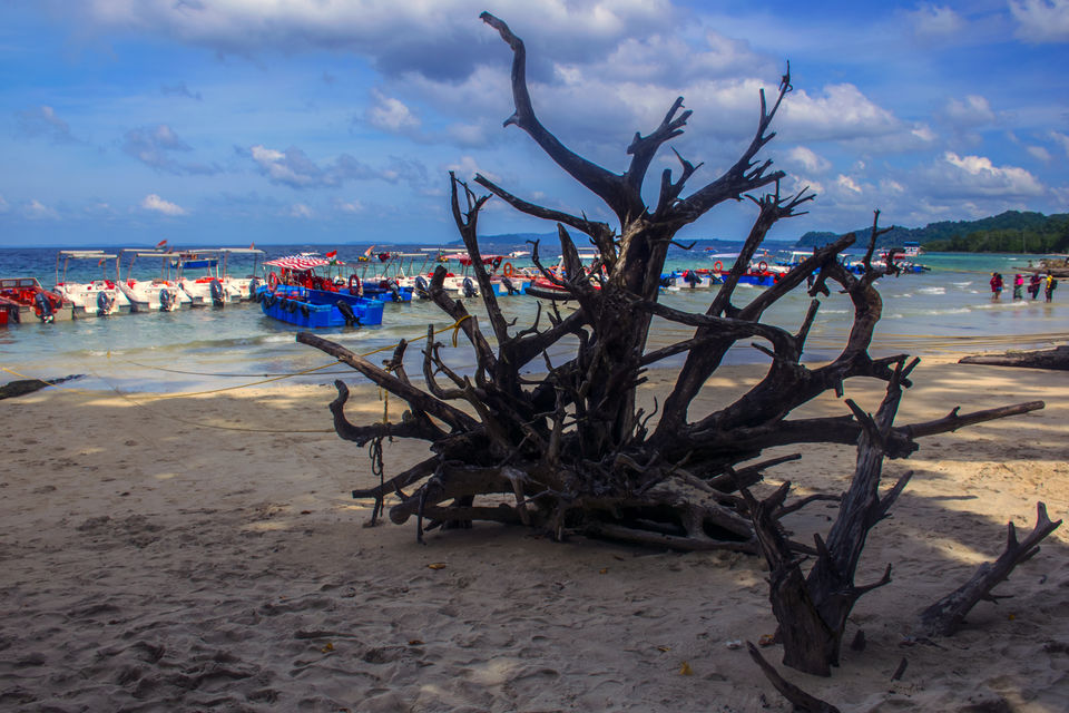 Photo of Havelock or Swaraj Dweep Island – A Slice Of Paradise 4/13 by Vaswati