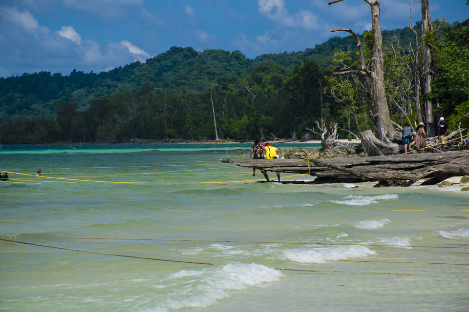 Photo of Havelock or Swaraj Dweep Island – A Slice Of Paradise 5/13 by Vaswati