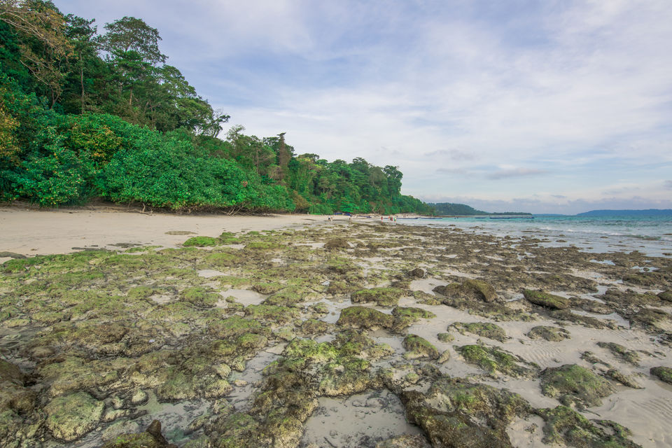 Photo of Havelock or Swaraj Dweep Island – A Slice Of Paradise 9/13 by Vaswati