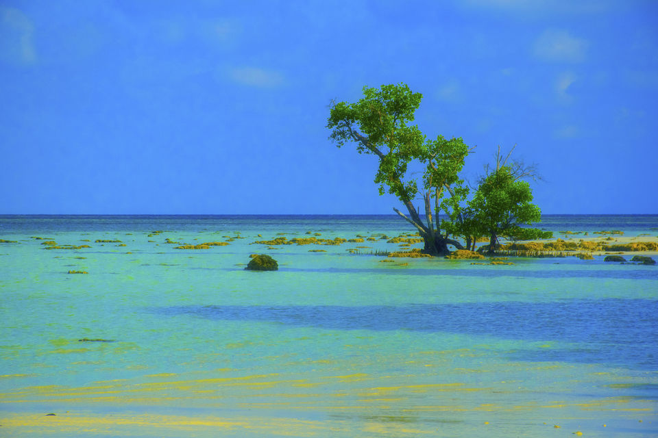 Photo of Havelock or Swaraj Dweep Island – A Slice Of Paradise by Vaswati