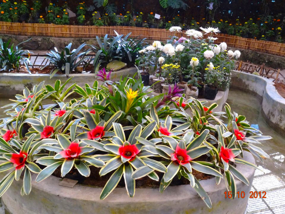 Photo of A Short Trip to Sikkim by Vaswati
