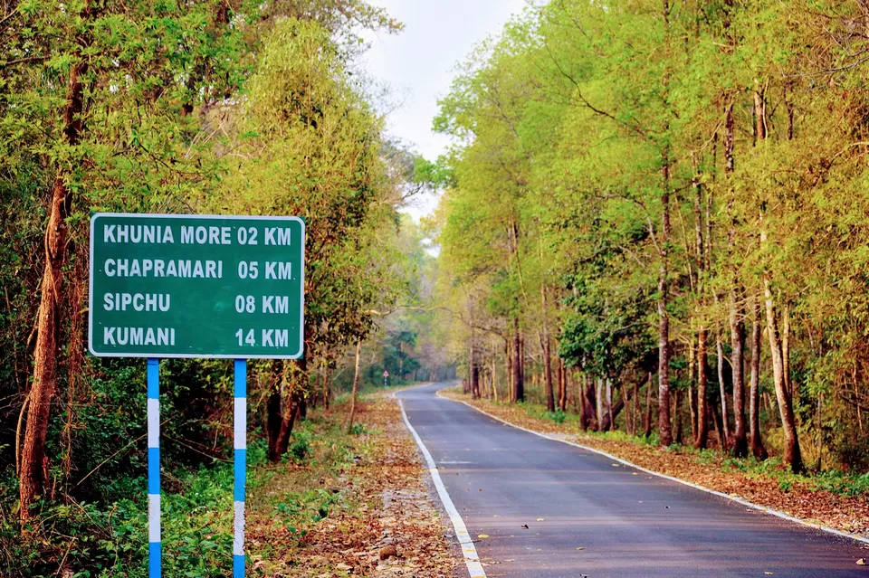 Photo of Enchanting North Bengal by Vaswati