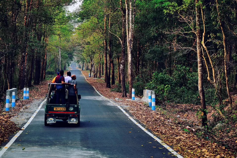 Photo of Enchanting North Bengal by Vaswati