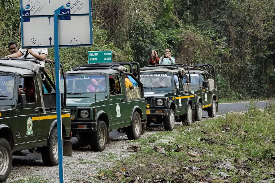 Photo of Enchanting North Bengal by Vaswati