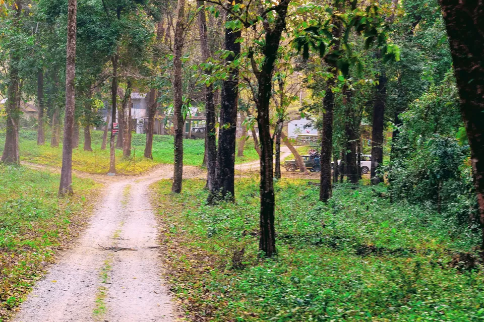 Photo of Enchanting North Bengal by Vaswati