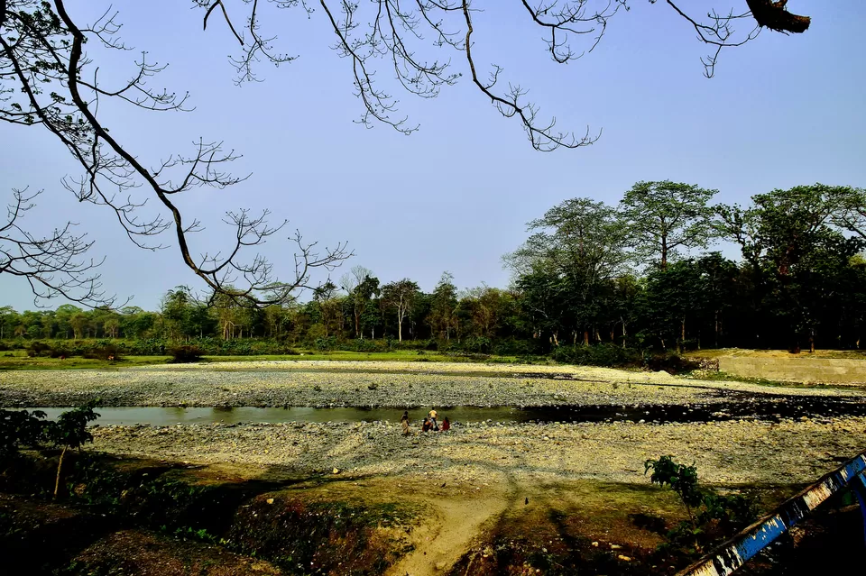 Photo of Enchanting North Bengal by Vaswati