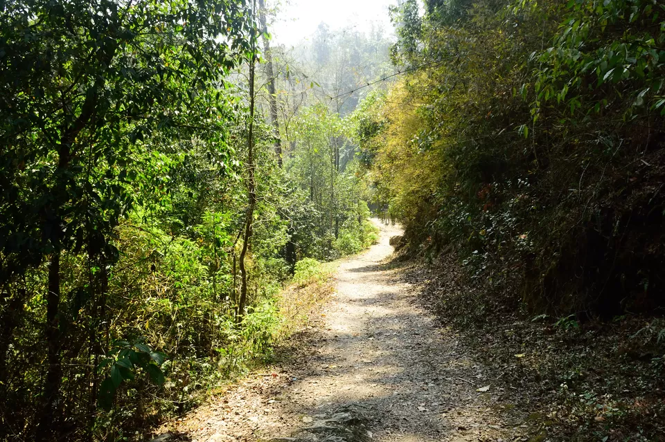 Photo of Enchanting North Bengal by Vaswati