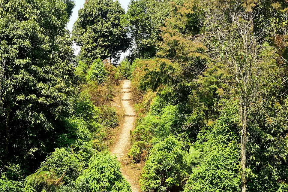 Photo of Enchanting North Bengal by Vaswati