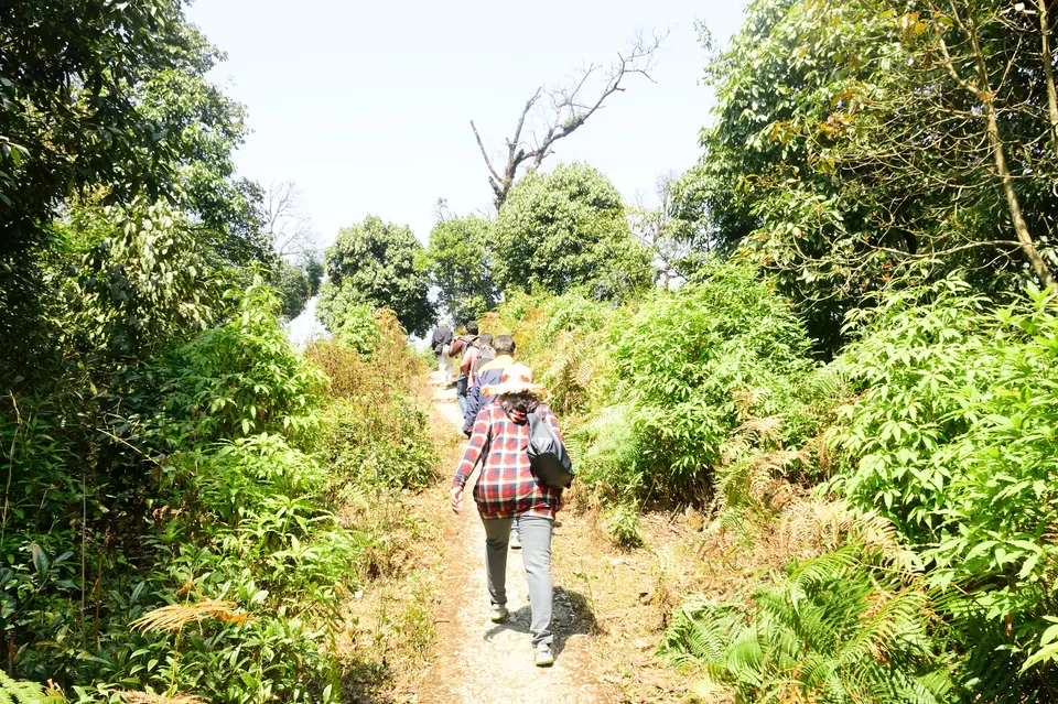 Photo of Enchanting North Bengal by Vaswati