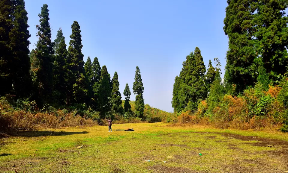 Photo of Enchanting North Bengal by Vaswati