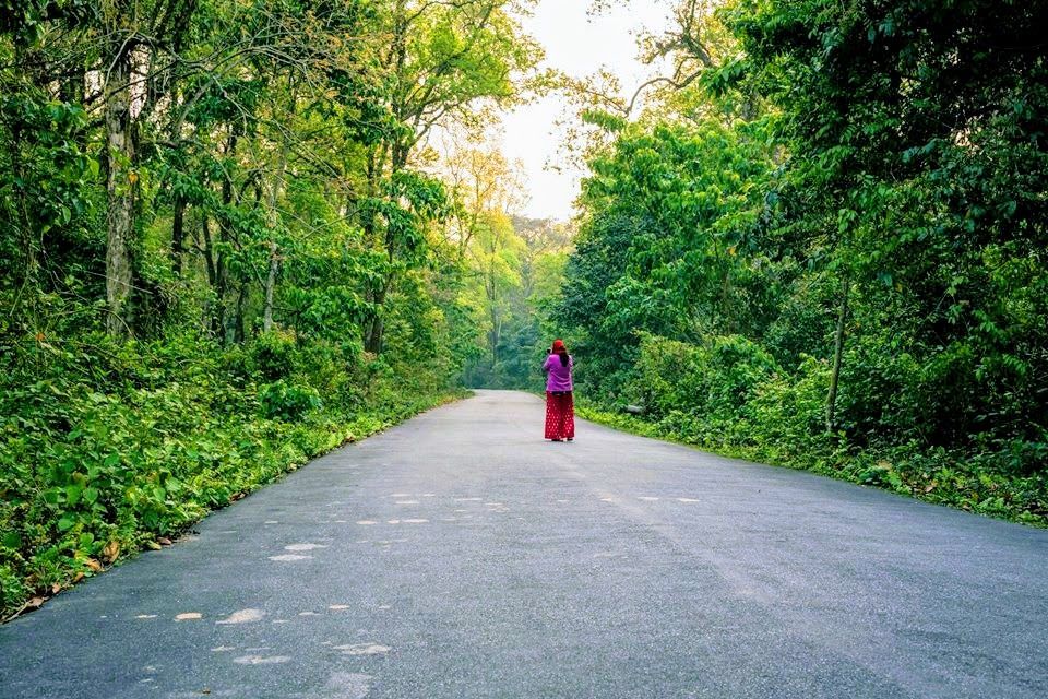 Photo of Enchanting North Bengal by Vaswati
