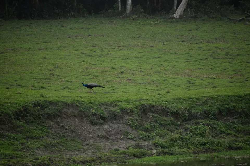 Photo of Enchanting North Bengal by Vaswati