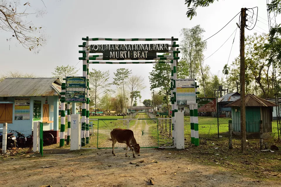 Photo of Enchanting North Bengal by Vaswati