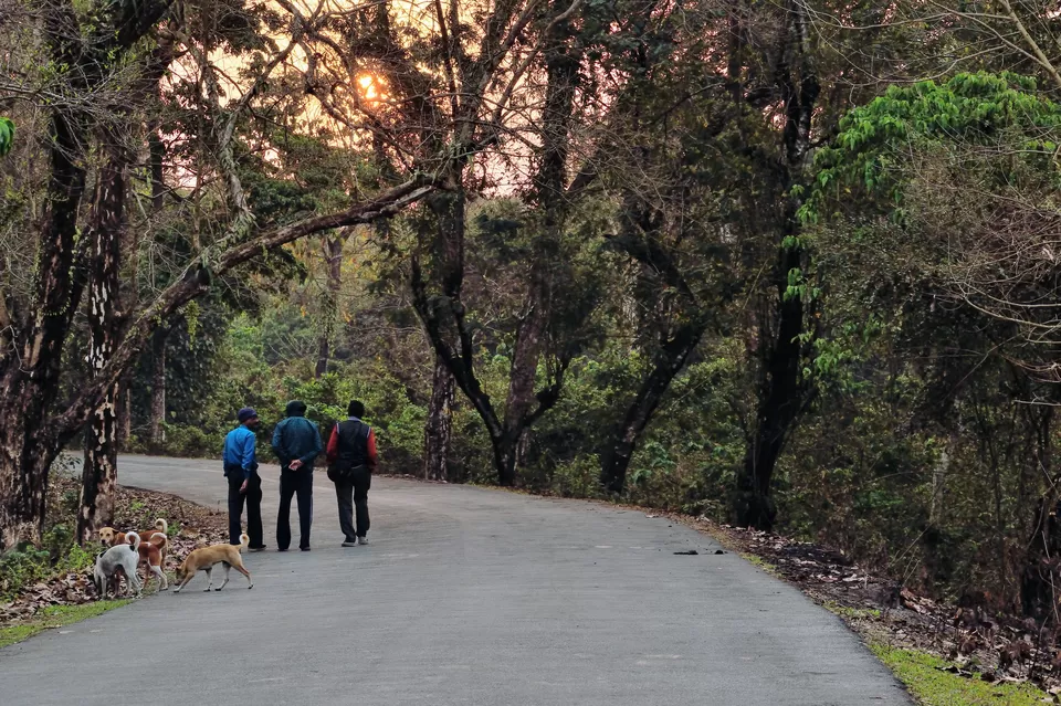 Photo of Enchanting North Bengal by Vaswati