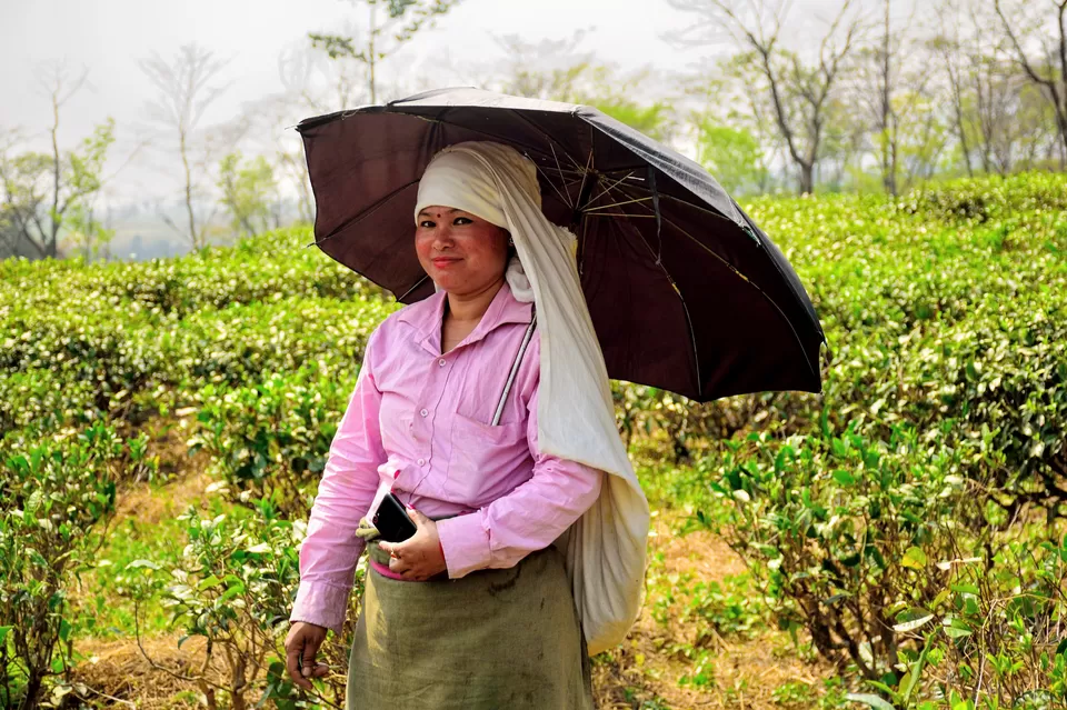 Photo of Enchanting North Bengal by Vaswati