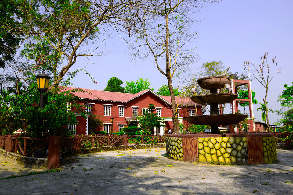 Photo of Enchanting North Bengal 1/1 by Vaswati