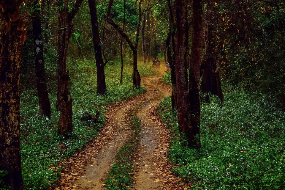 Photo of Enchanting North Bengal by Vaswati