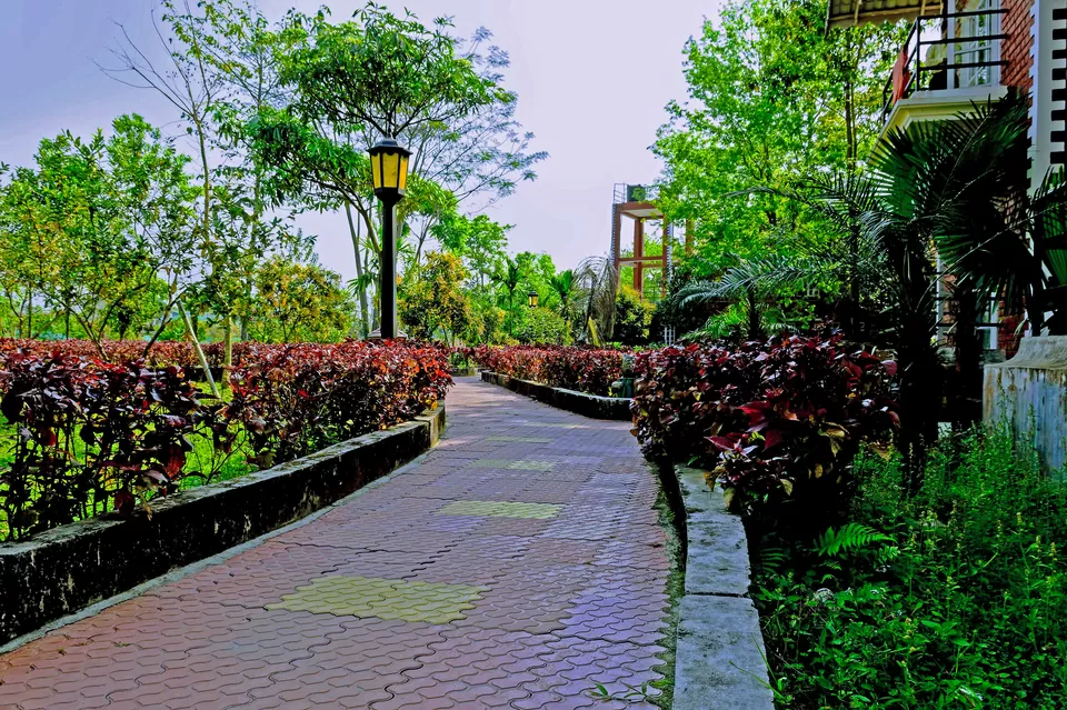 Photo of Enchanting North Bengal by Vaswati