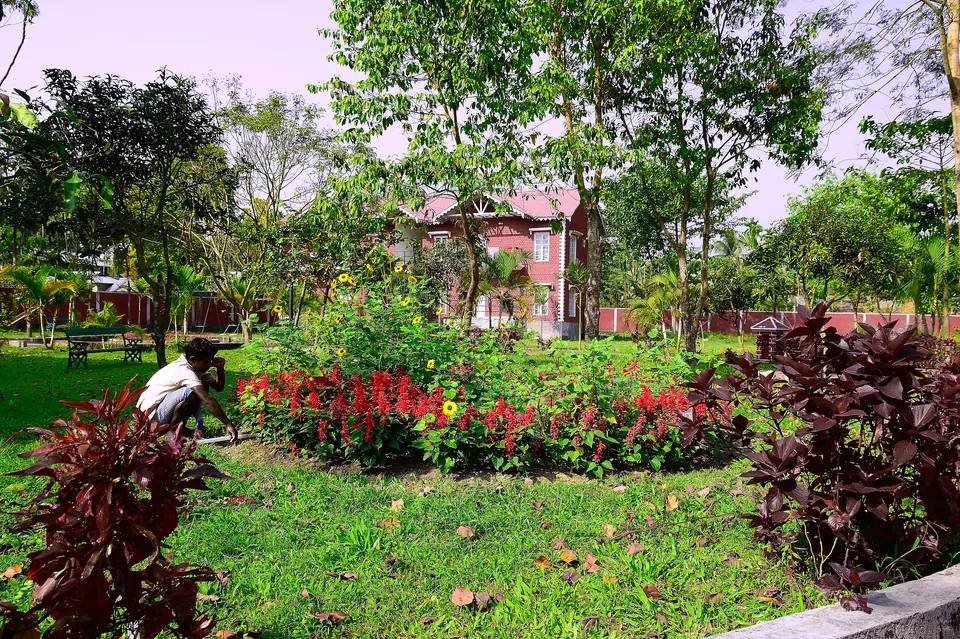 Photo of Enchanting North Bengal by Vaswati