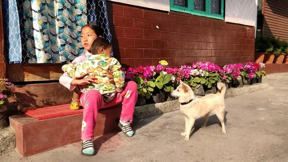 Photo of Khaling HomeStay, Kalimpong, West Bengal, India by Vaswati