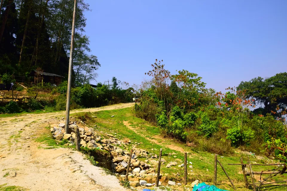 Photo of Sillery Gaon, West Bengal, India by Vaswati