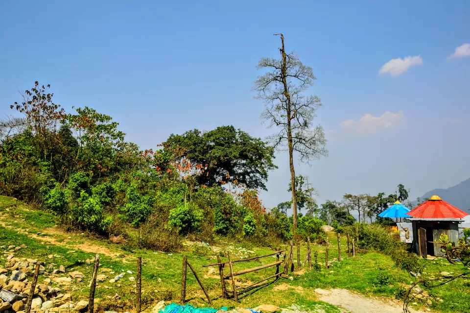 Photo of Sillery Gaon, West Bengal, India by Vaswati