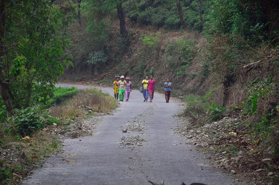 Photo of Enchanting North Bengal by Vaswati