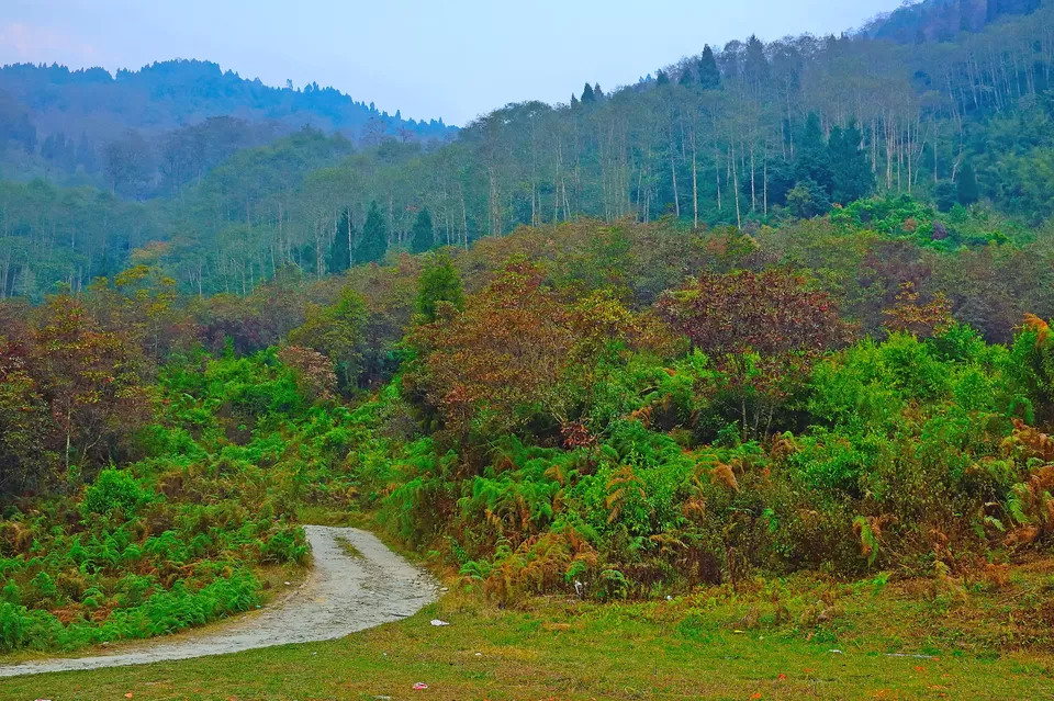 Photo of Icche Gaon, West Bengal, India by Vaswati