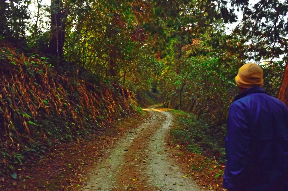 Photo of Enchanting North Bengal by Vaswati
