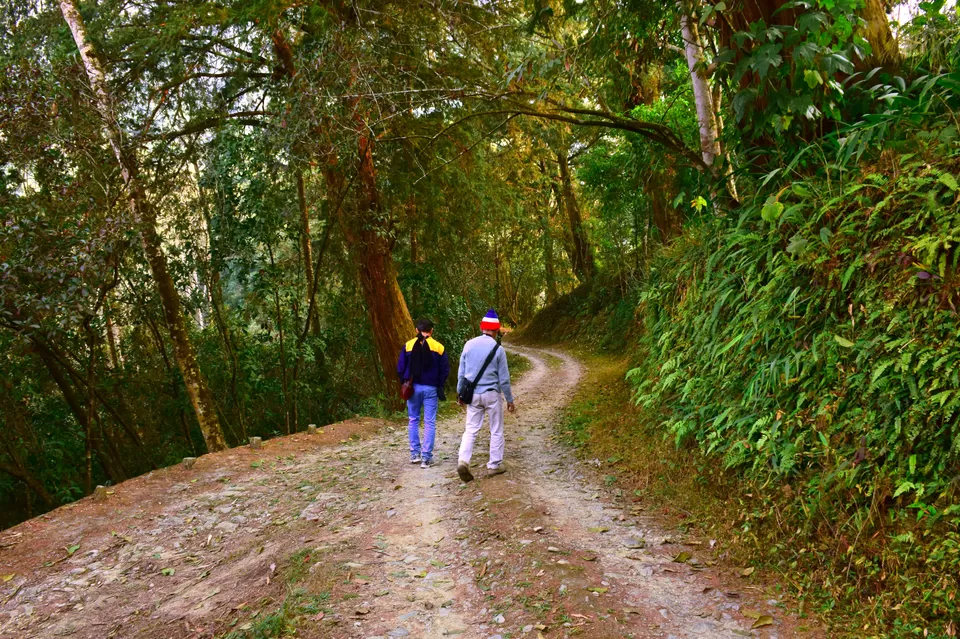 Photo of Enchanting North Bengal by Vaswati