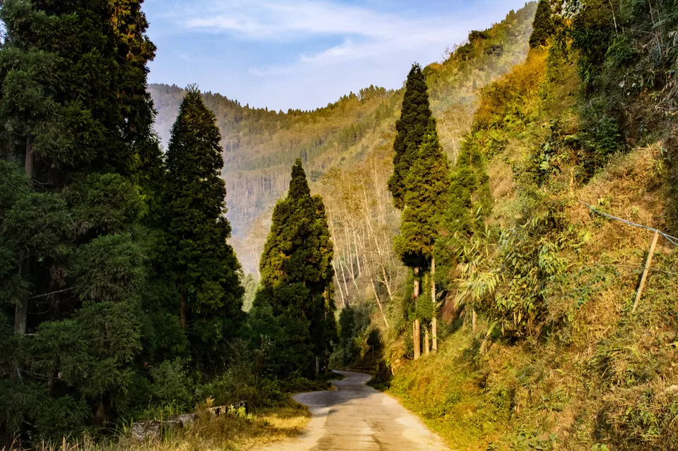 Photo of Enchanting North Bengal by Vaswati