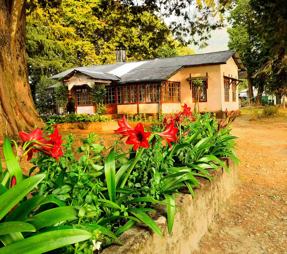 Photo of Jalsa Bungalow, Munsong Road, Mansong Cinchona Plantation, West Bengal, India by Vaswati
