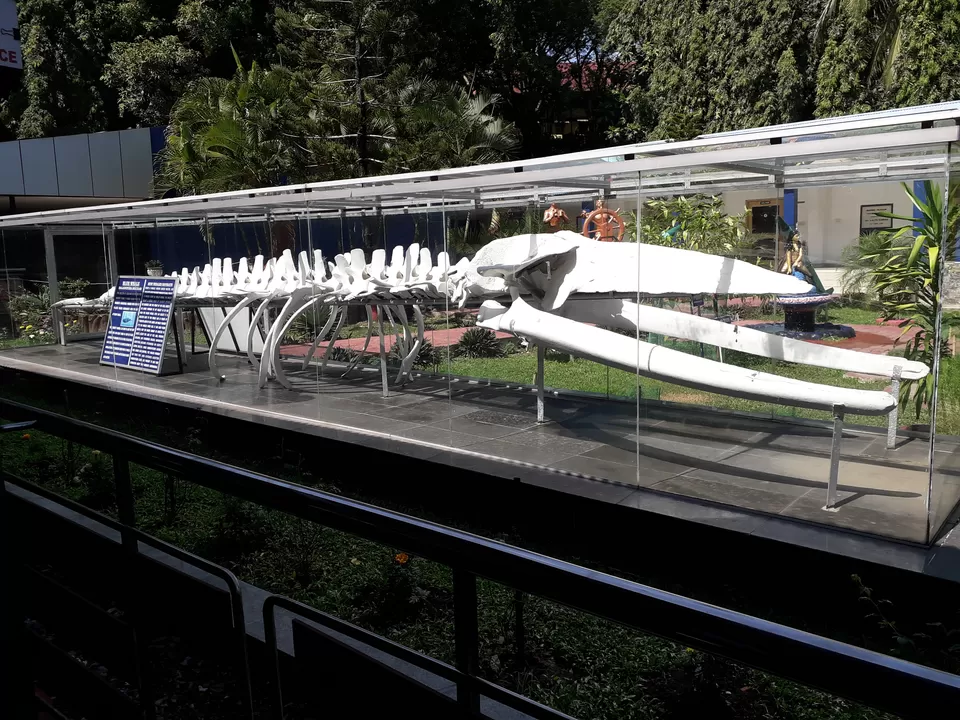 Photo of Samudrika Marine Museum, Airport Authority Colony, Haddo, Port Blair, Andaman and Nicobar Islands, India by Vaswati